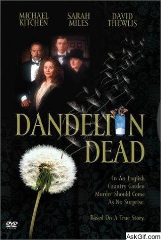 Dandelion Dead