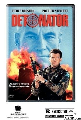 Detonator