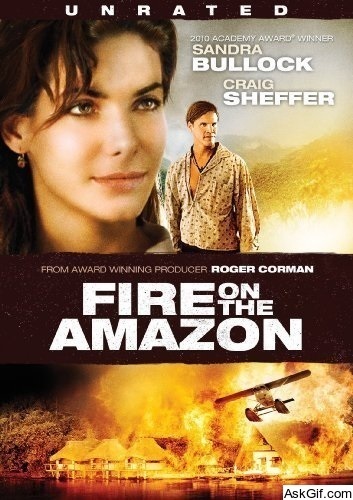 Fire on the Amazon