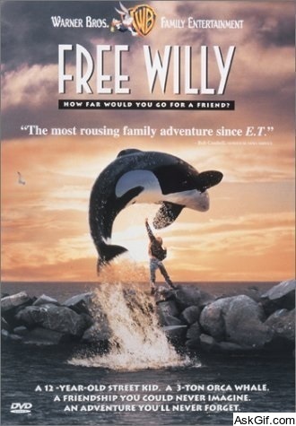 Free Willy