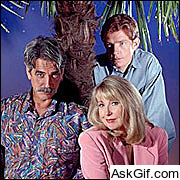 Fugitive Nights: Danger in the Desert