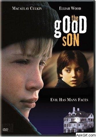 The Good Son