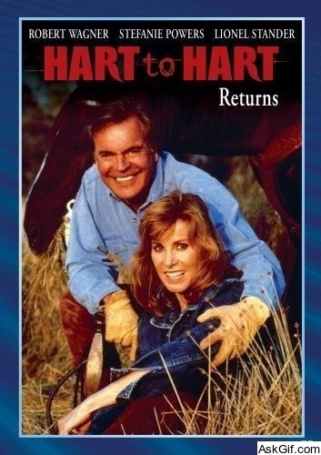 Hart to Hart Returns