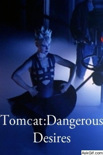 Tomcat: Dangerous Desires