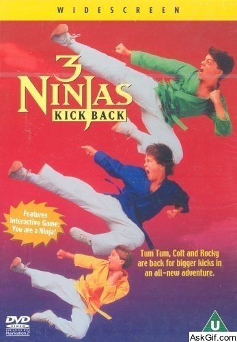 3 Ninjas Kick Back