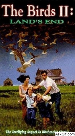 The Birds II: Land's End