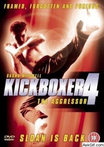 Kickboxer 4: The Aggressor