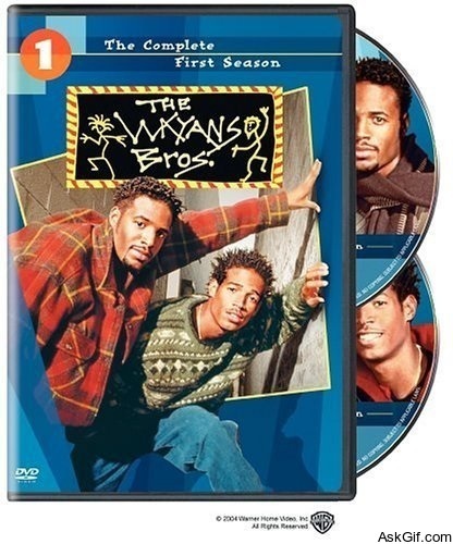 The Wayans Bros.