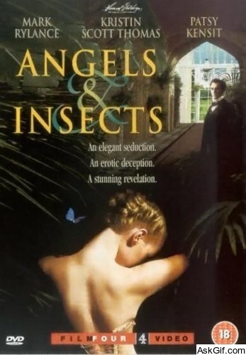 Angels and Insects