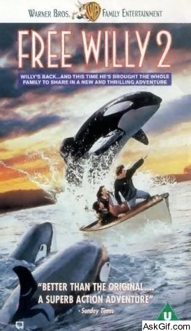 Free Willy 2: The Adventure Home