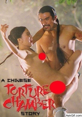 A Chinese Torture Chamber Story