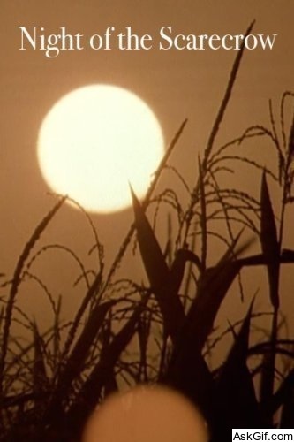 Night of the Scarecrow