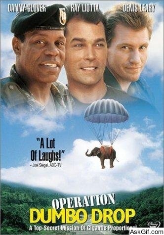 Operation Dumbo Drop