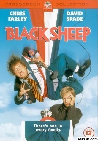Black Sheep