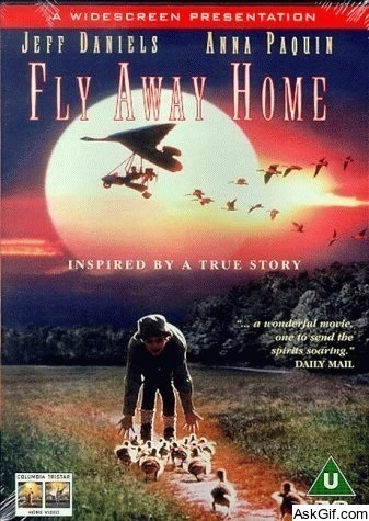 Fly Away Home