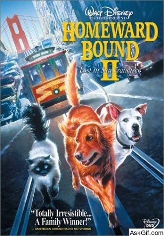 Homeward Bound II: Lost in San Francisco