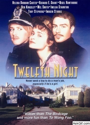 Twelfth Night or What You Will