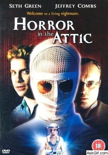 The Attic Expeditions