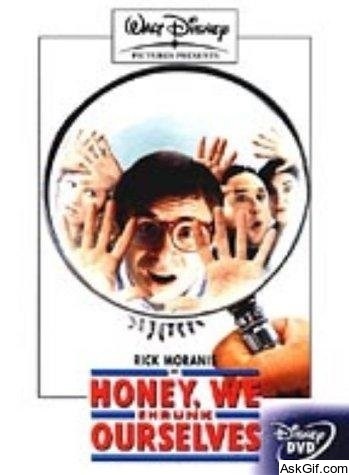 Honey, We Shrunk Ourselves!