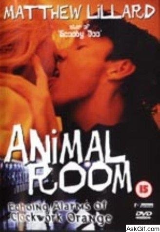 Animal Room