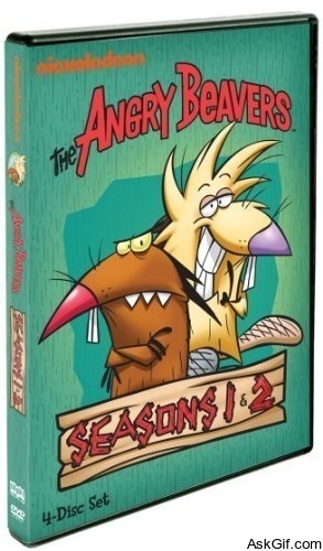 The Angry Beavers
