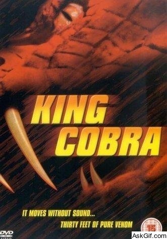 King Cobra