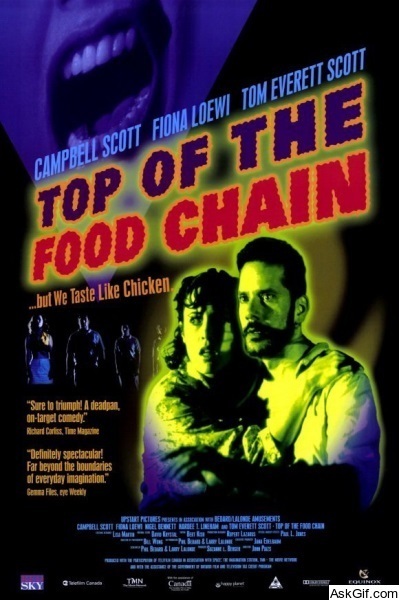 Top of the Food Chain