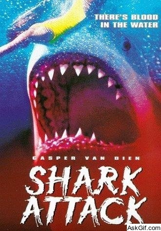 Shark Attack