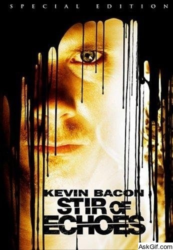 Stir of Echoes