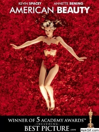 American Beauty