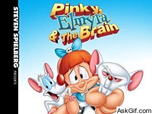 Pinky, Elmyra & the Brain
