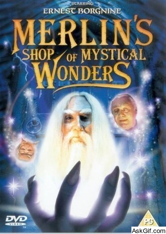 Merlin's Shop of Mystical Wonders