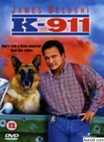 K-911