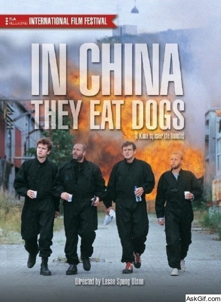 In China They Eat Dogs