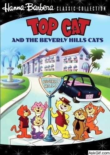 Top Cat and the Beverly Hills Cats