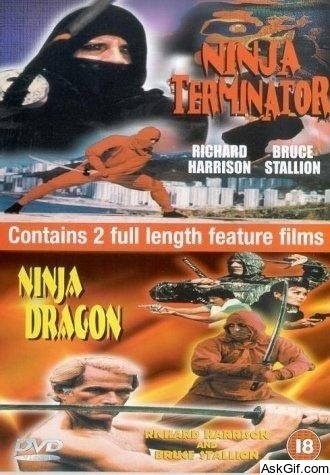 Ninja Terminator