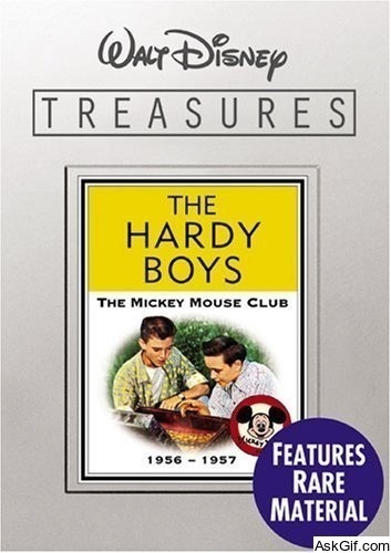 The Hardy Boys: The Mystery of the Applegate Treasure