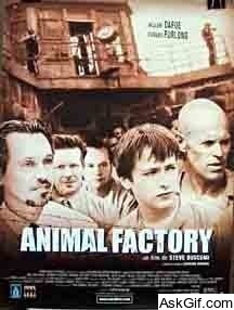 Animal Factory