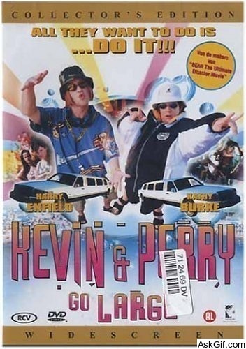 Kevin & Perry Go Large