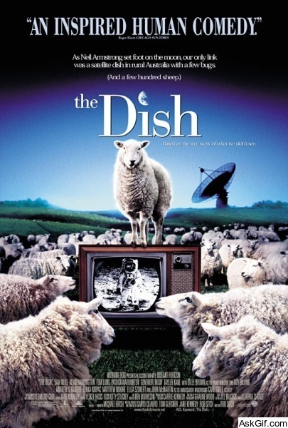 The Dish