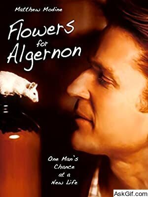 Flowers for Algernon