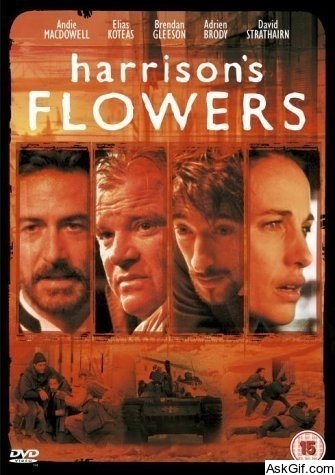Harrison's Flowers