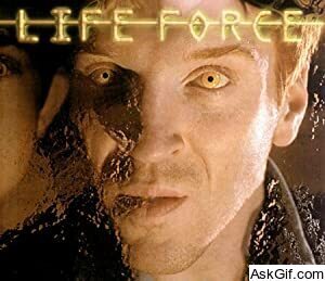 Life Force