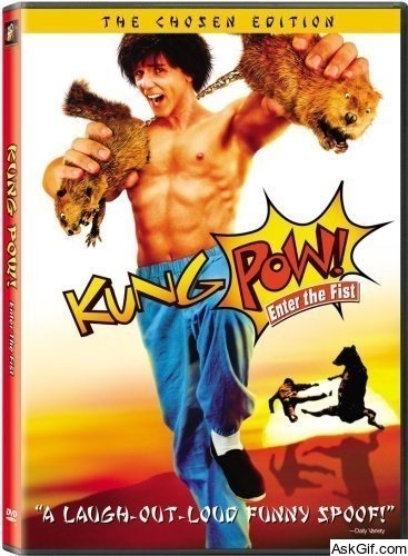 Kung Pow: Enter the Fist
