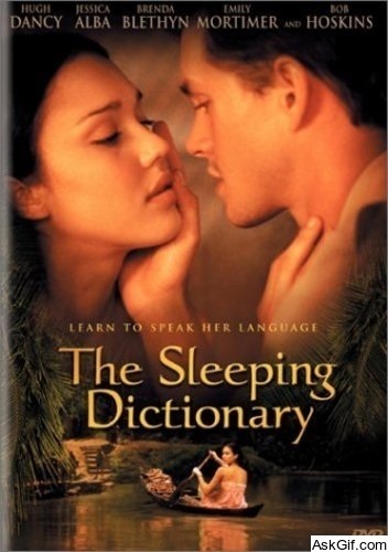 The Sleeping Dictionary