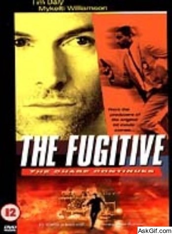 The Fugitive