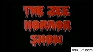 The Zee Horror Show