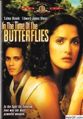 In the Time of the Butterflies