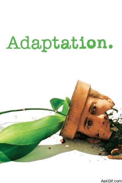 Adaptation.