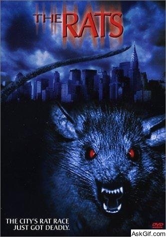 The Rats
